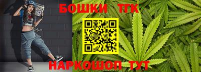 стафф Новокубанск