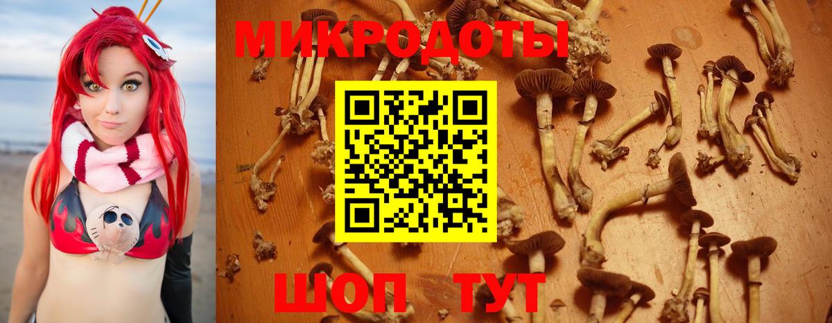Галлюциногенные грибы Cubensis Ухта